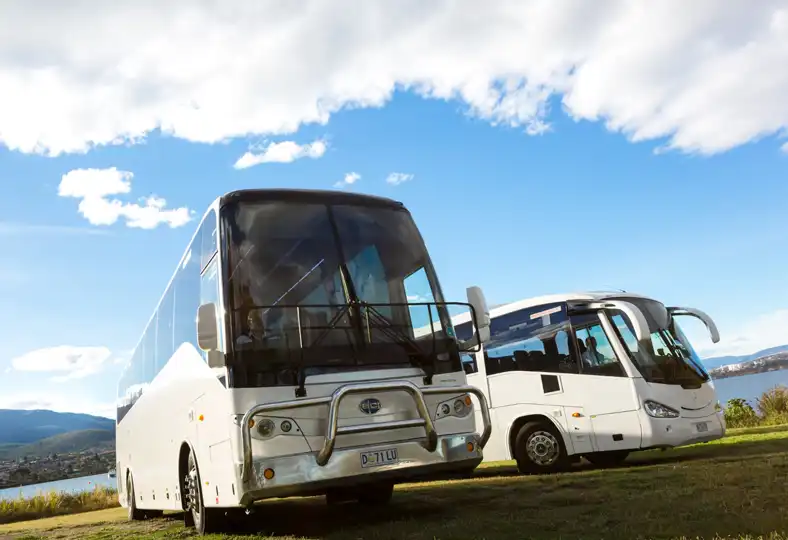 School Transport Buses