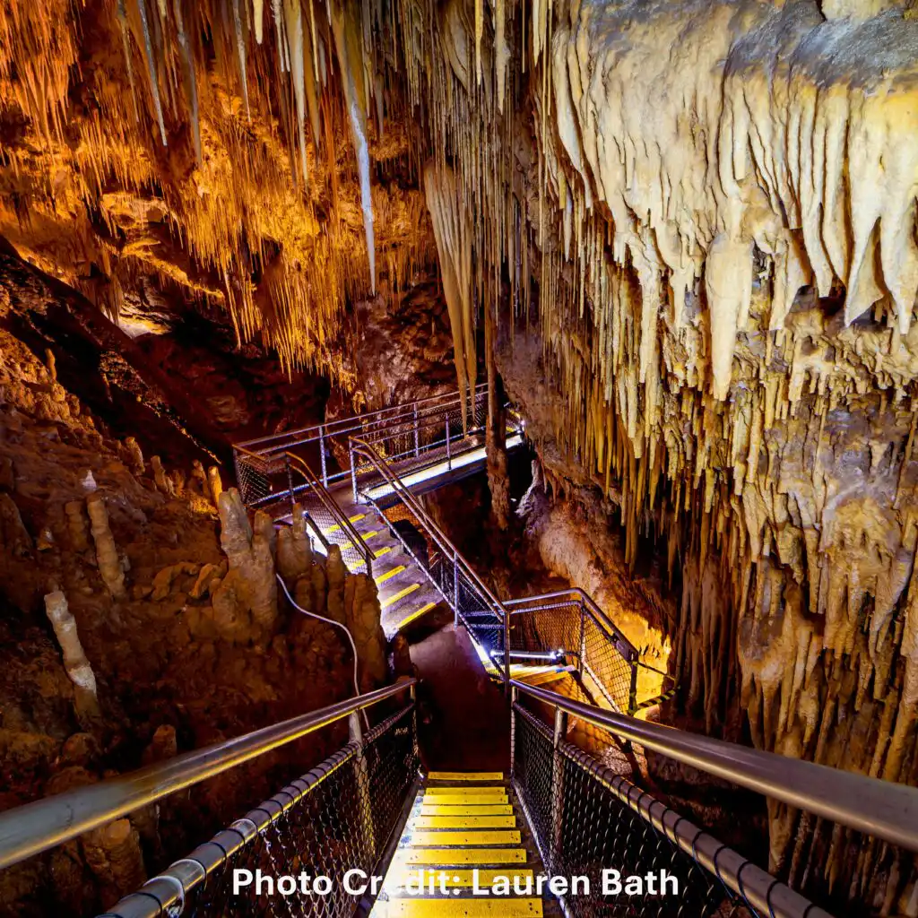 Hastings Caves Tasmania Tour
