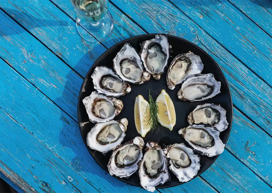 Bruny Island Oysters